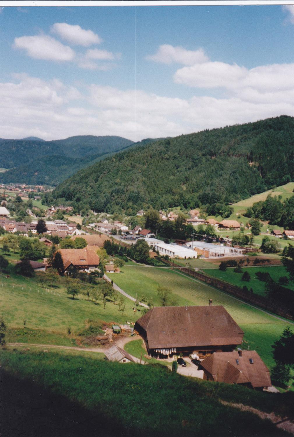 Waeldebauernhof Hotel Gutach Exterior photo